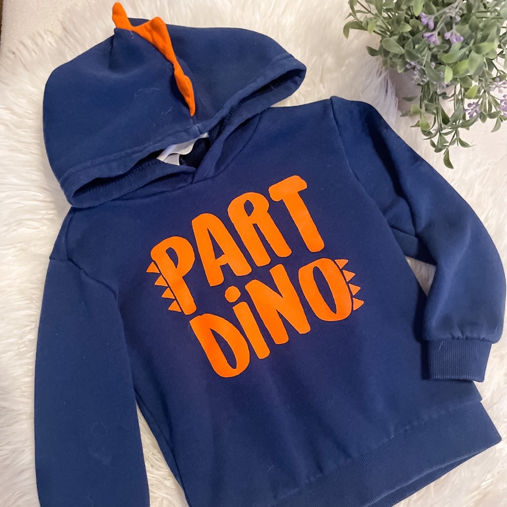 Boys 4T hoodie
